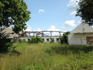 Ruiny  paszarni przy nieistniejącej już starej oborze i ruiny nowej obory, 2013 r.