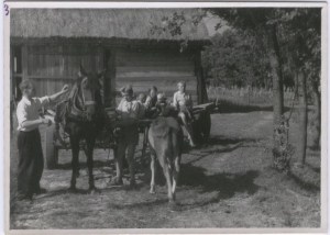 W domu na wakacjach w 1956 r. Wyprawa do pracy wszystkimi siłami. Jednego brata brakuje,